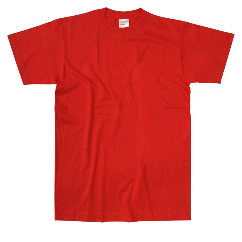 stedman ステッドマン ブラック コットン Tシャツ Sサイズ ステッドマン STEDMAN ハーレーダビッドソン HARLEY DAVIDSON T